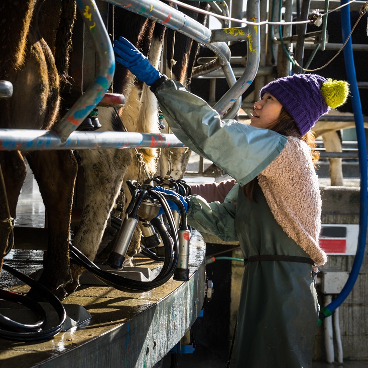 AHC Projects Endorsed by AISC - Skills Impact